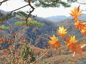 2岁宝宝经常流鼻血